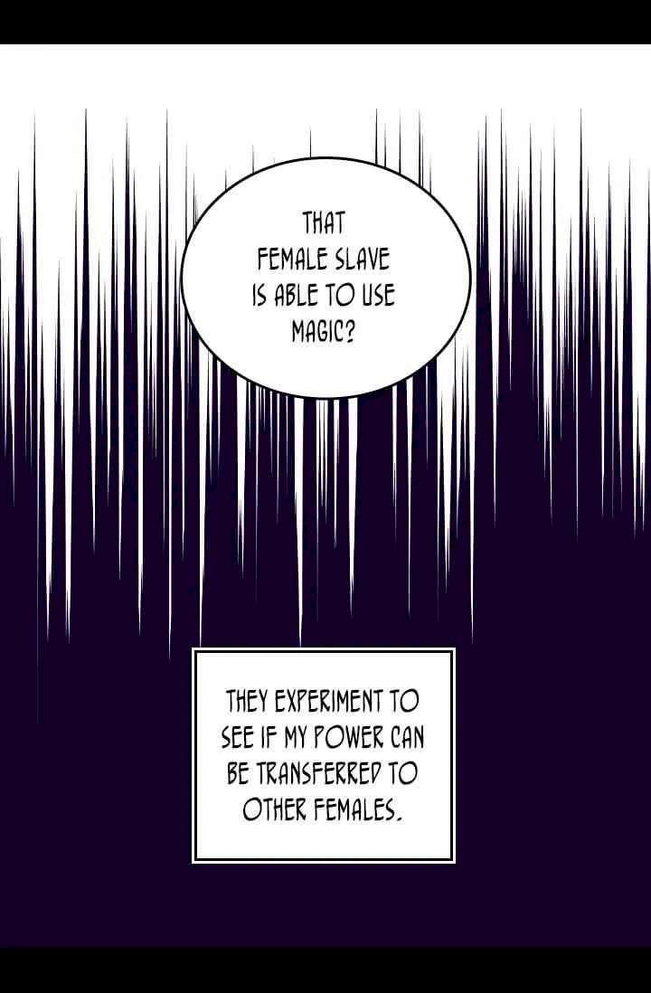 They Say I Was Born A King