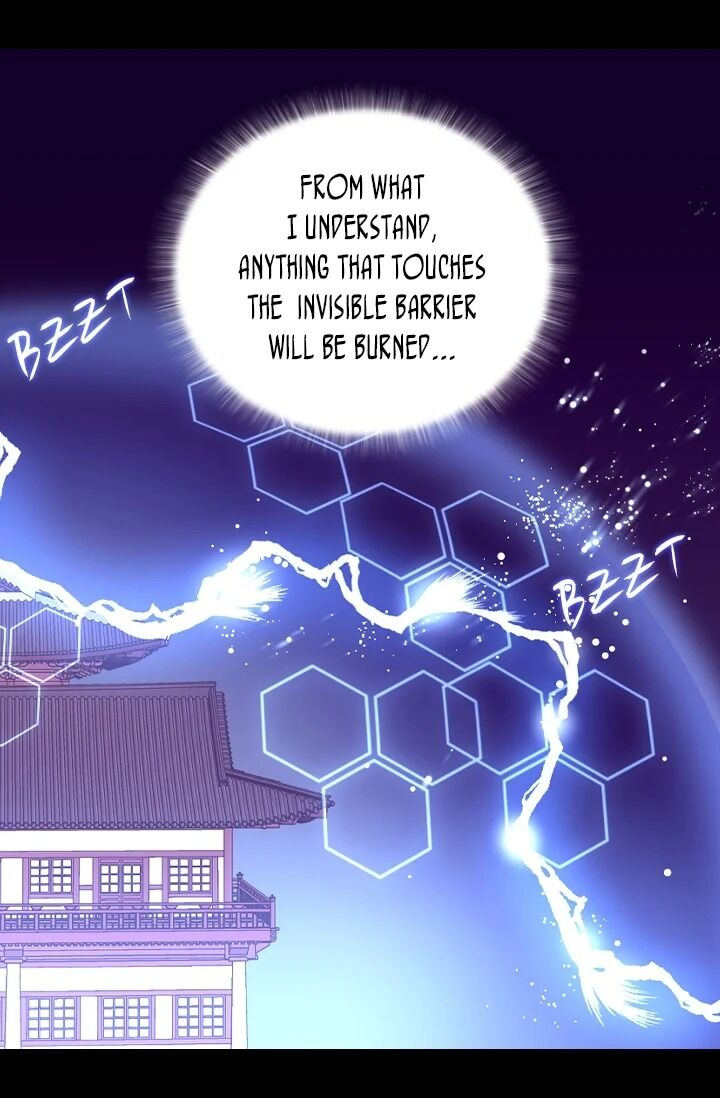 They Say I Was Born A King