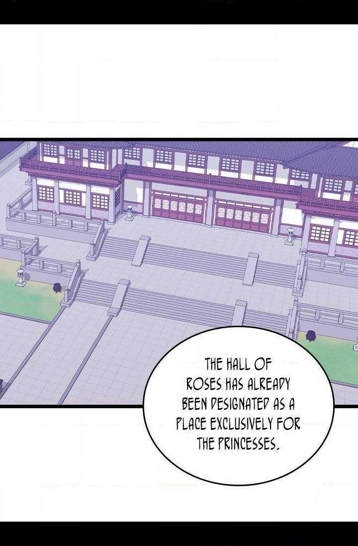 They Say I Was Born A King