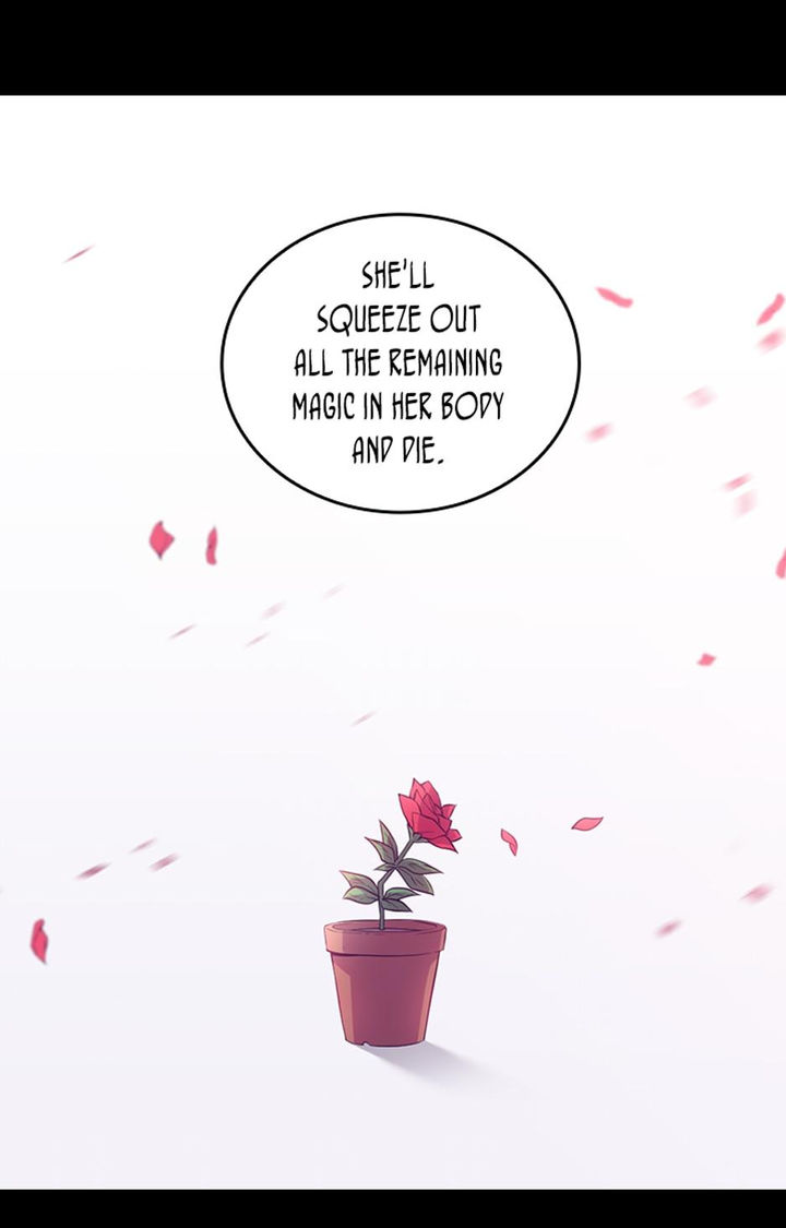 They Say I Was Born A King