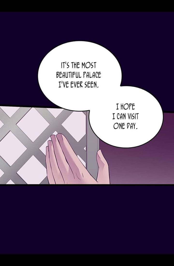 They Say I Was Born A King