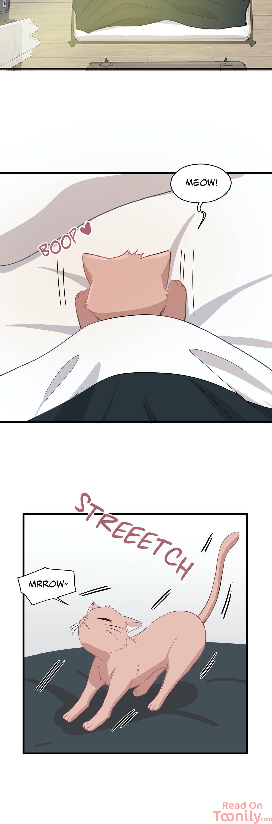 Just for a Meowment - Chapter 8 Page 22