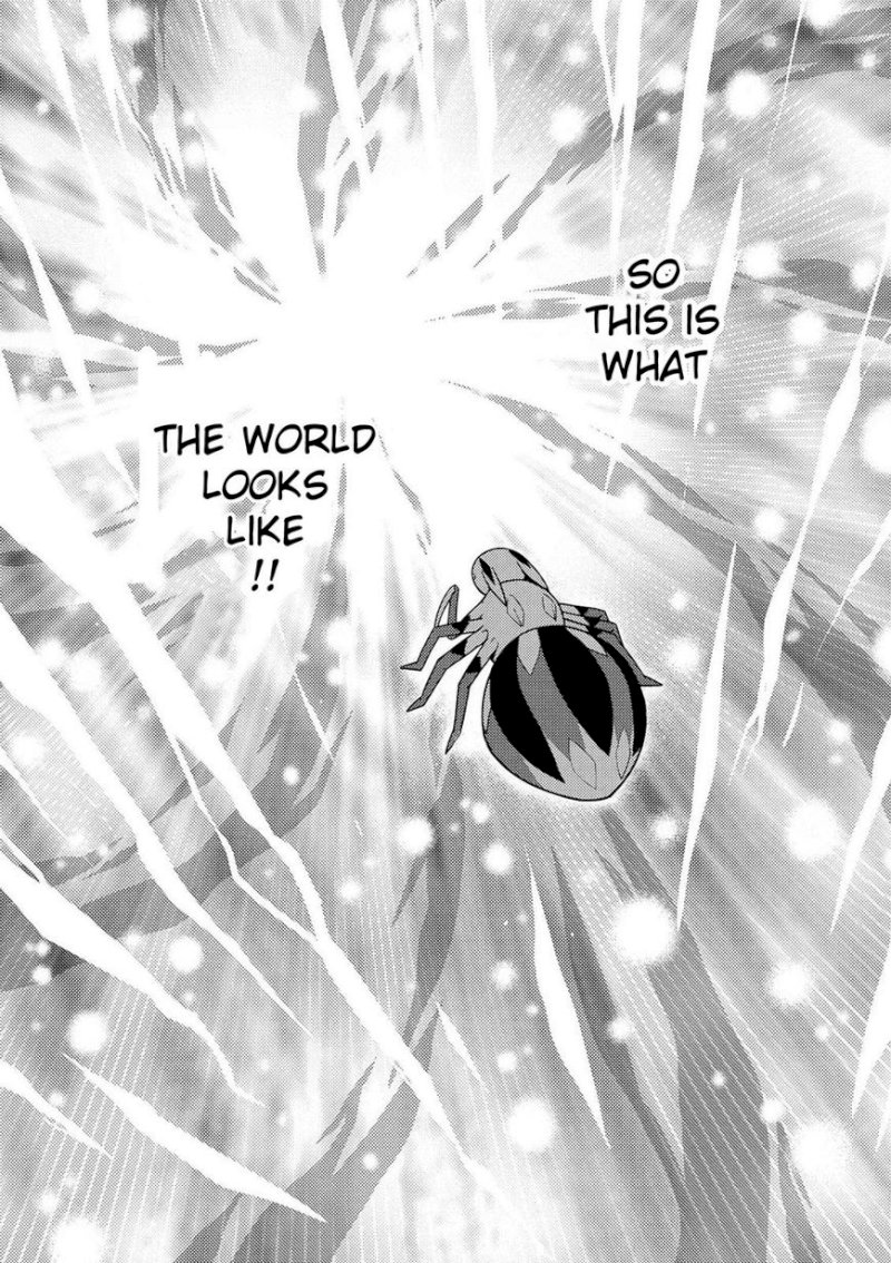 Kumo desu ga, Nani ka? - Chapter 19.2 Page 3